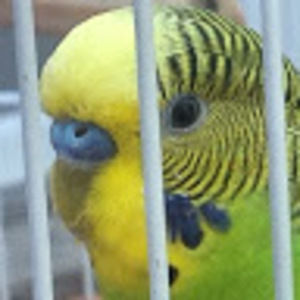 Meet your Posher, Sophia